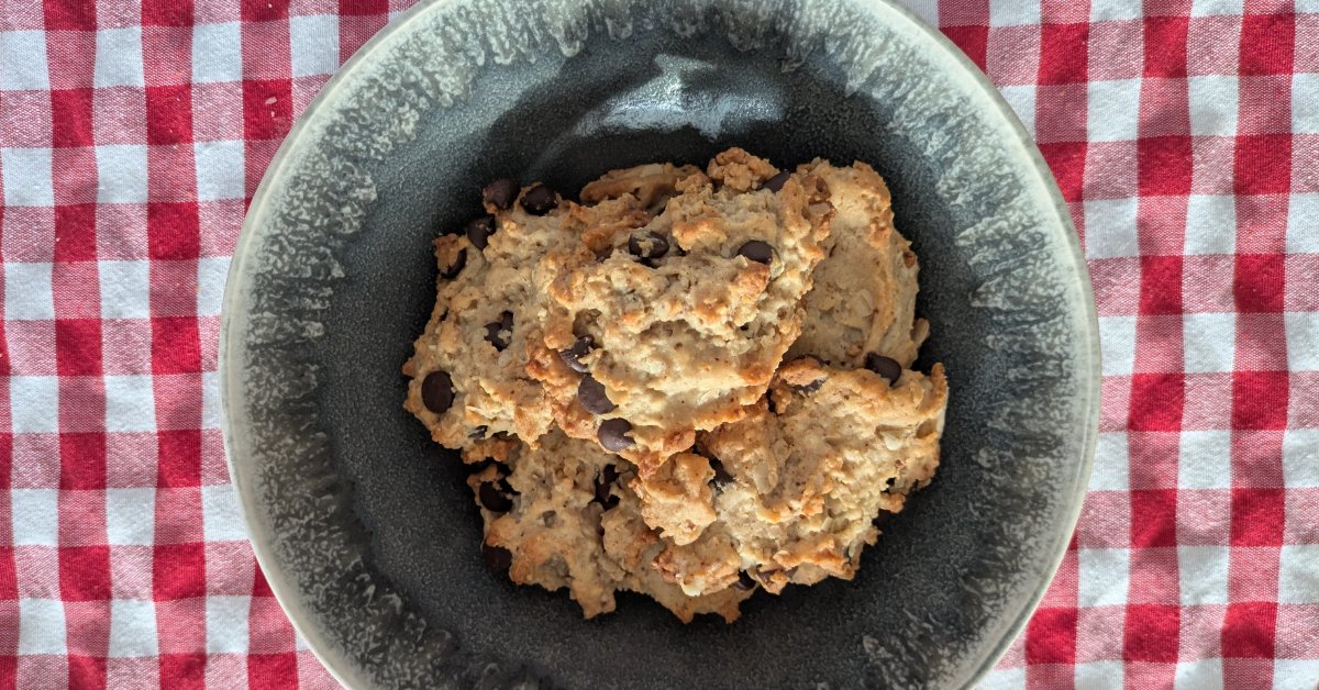 Petits biscuits aux flocons d'avoine et pépites de chocolat empilés dans un bol en grès gris, sur une nappe à carreaux rouges et blancs